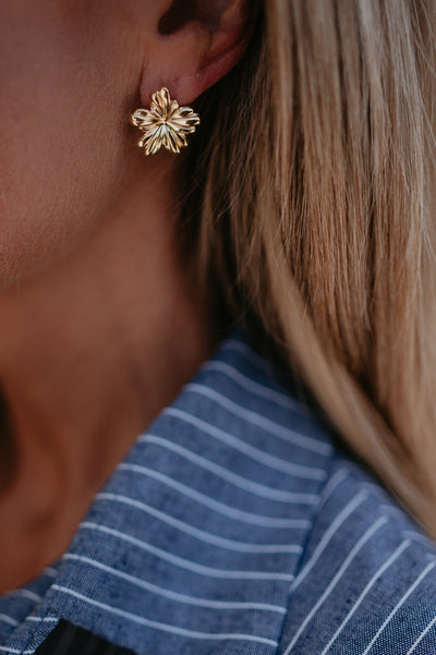 Corda earrings I Gold & Silver