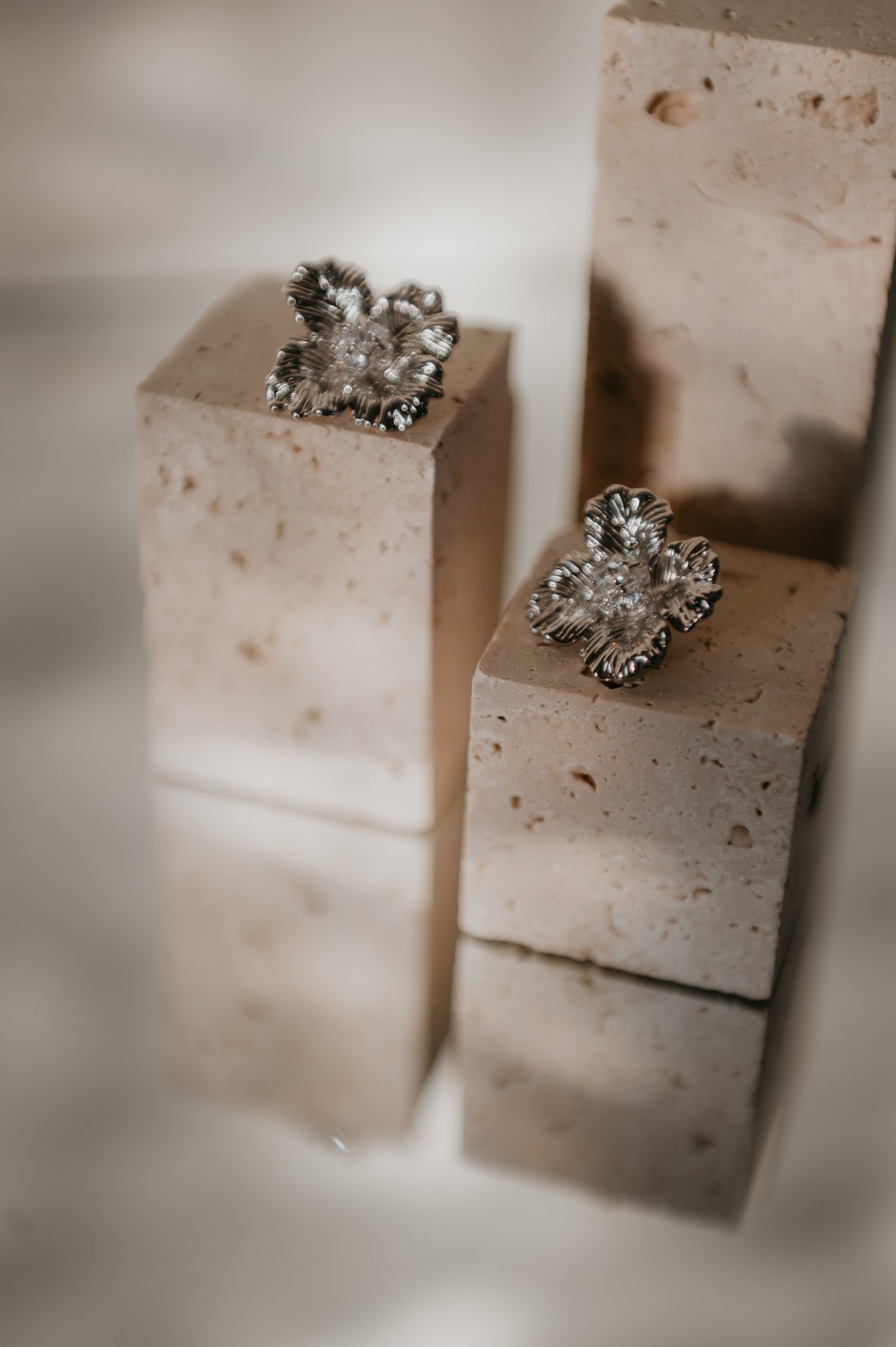 Ectuale earrings I Silver