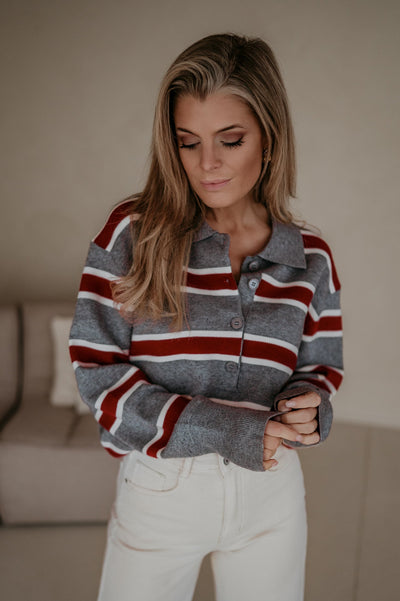 Stindo polo I Grey - Wild Souls by JV® - Polos