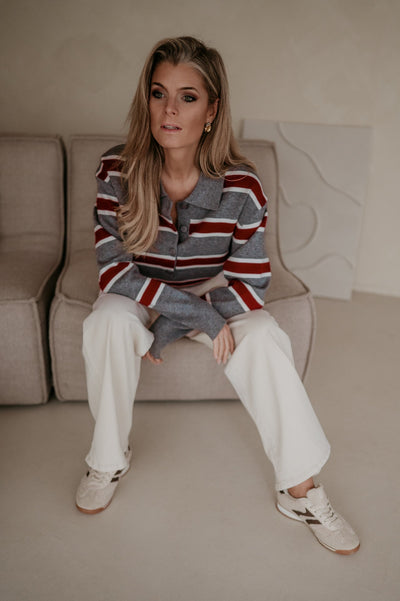 Stindo polo I Grey - Wild Souls by JV® - Polos