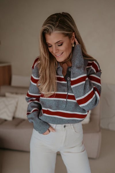 Stindo polo I Grey - Wild Souls by JV® - Polos